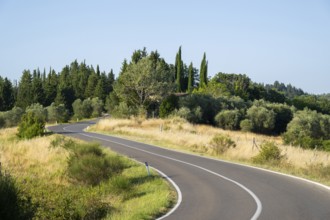 View of a strees in the tuscan landscape, country estate in Chianti, Chianti Region, Tuscany,