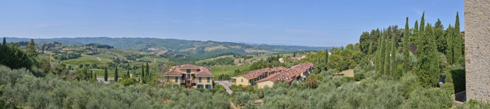 Tuscan landscape, country estate with vineyards, forests, olive trees and cypresses in Chianti,