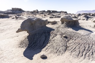 Ischigualasto Provincial Park, Villa San Agustín, San Juan Province, Argentina, South America