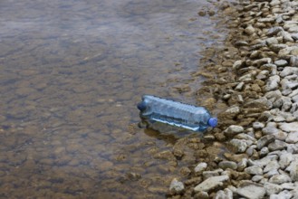 Environmental pollution, Plastic bottle washed up on the lake shore, Austria, Europe