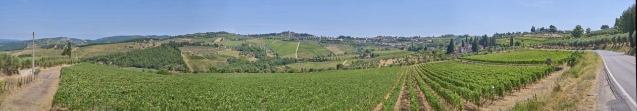 Tuscan landscape, country estate with vineyards, forests, olive trees and cypresses in Chianti,