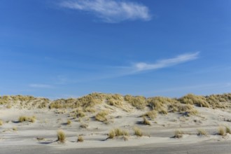 The East Frisian North Sea island of Juist in winter, dunes on the western part of the island, at