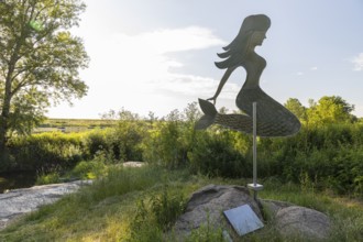 Figure of a mermaid and remains of the old mermaid stone in the dead Elbe estuary near Strehla,