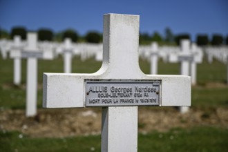 Cross at the military cemetery near the Douaumont ossuary, First World War, Verdun, Grand Est