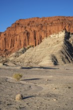 Ischigualasto Provincial Park, Villa San Agustín, San Juan Province, Argentina, South America