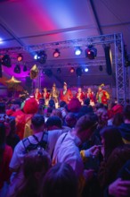 Colourful carnival concert with costumed performers on the illuminated stage, carnival,