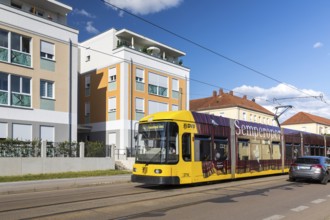 Line 4 tram on Meißner Straße in front of the Altradebeul villa park, Radebeul, Saxony, Germany,