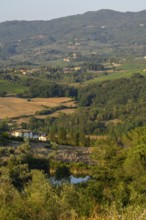 Tuscan landscape, country estate with vineyards, forests, olive trees and cypresses in Chianti,