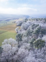 Aerial view of a winter landscape with fields and a surrounding forest, Gechingen, district of