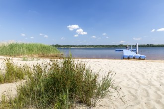 Pontoon jetty at the Dreiweiberner See bathing beach, Lusatian Lakeland, Lohsa, Saxony, Germany,