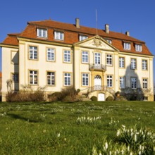 Freckenhorst Castle with snowdrops (Galanthus), Warendorf, Münsterland, North Rhine-Westphalia,