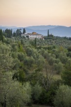 Tuscan landscape at sunrise, country estate with a farm house, vineyards, forests, olive trees and