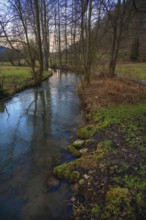 The river Trubach meanders through the Trubach valley, Egloffstein, Upper Franconia, Bavaria,