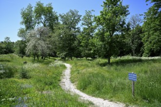 Site of the destroyed village of Fleury-devant-Douaumont, Verdun battlefield, First World War,