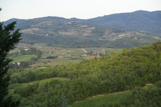 Tuscan landscape next to greve in Chianti and Montefioralle, country estate with vineyards,