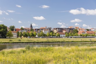 City view over the Elbe with Trinitatis Church, Riesa, Saxony, Germany, Europe