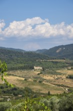 Tuscan landscape, country estate with vineyards, forests, olive trees and cypresses in Chianti,