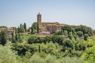 Basilica di San Clemente, historical, building, alley, Siena, Tuscany, Italy, Europe