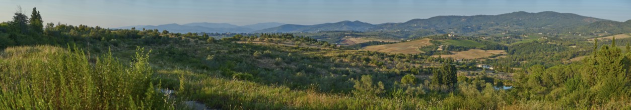 Tuscan landscape, country estate with vineyards, forests, olive trees and cypresses in Chianti,