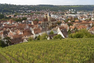 View over a vineyard to Esslingen with the parish church of St Dionys Esslingen am Neckar,