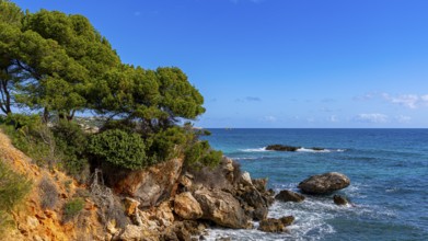 Landscape and coastal area in the north of Majorca, Cala Rajada, Balearic Islands, . Spain