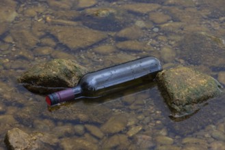 Environmental pollution, glass bottle washed up on the lake shore, Austria, Europe