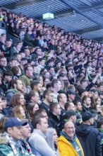 Fans in the stands enjoying the sporting event and interacting with each other, Heilbronner Falken