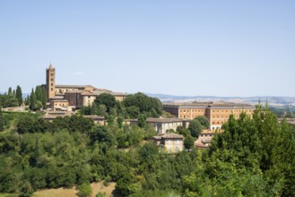 Basilica di San Clemente, historical, building, alley, Siena, Tuscany, Italy, Europe