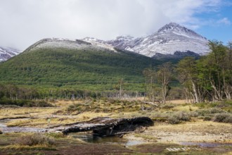 Laguna Esmeralda, Provinz Tierra del Fuego, Argentina, South America