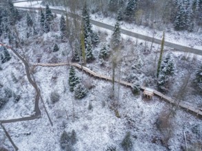 Snow-covered forest with a wooden footbridge and road, quiet winter atmosphere, New wooden