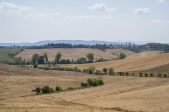 Tuscan landscape with fields and hills, Unesco world heritage, Crete Senesi, Italy, Europe,