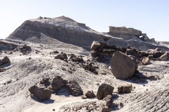 Ischigualasto Provincial Park, Villa San Agustín, San Juan Province, Argentina, South America