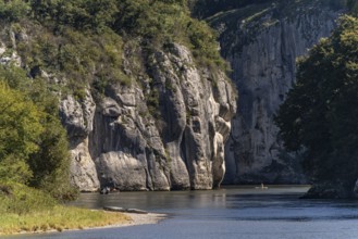 Stand up paddle in the Weltenburger Enge, Danube gorge near Weltenburg, Bavaria, Germany, Europe