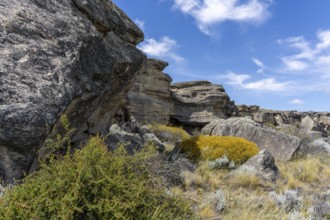 Punta Walichu, Natural and Archaeological Reserve, El Calafate, Santa Cruz, Argentina, South