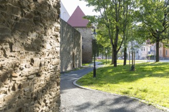 Old town wall, yellow lion tower and granary, Freiberg, Saxony, Germany, Europe