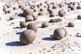 Cancha de Bochas, Ischigualasto Provincial Park, Villa San Agustín, San Juan Province, Argentina,