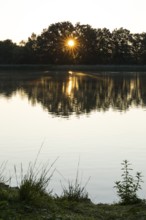 Sunrise at the upper pond in Rammenau, Saxony, Germany, Europe