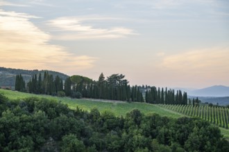 Tuscan landscape next to greve in Chianti and Montefioralle, country estate with vineyards,