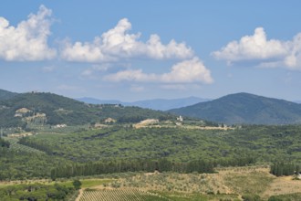 Tuscan landscape, country estate with vineyards, forests, olive trees and cypresses in Chianti,