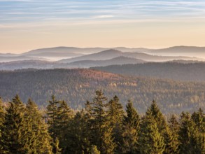 View from the summit of the Haidel over hilly landscape, endless forests in the morning light in