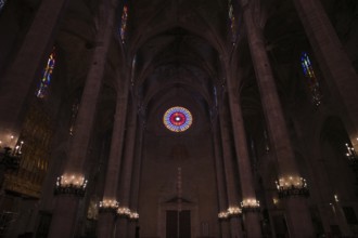 Rose window, rose window of the west front, interior view, La Seu, Basilica de Santa Maria,