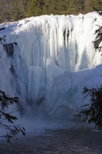 Close-up of a partly frozen waterfall surrounded by trees, winter, Sweden's highest waterfall,