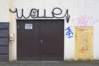 View of a graffiti-painted house facade with garage door and small entrance door, vandalism, street