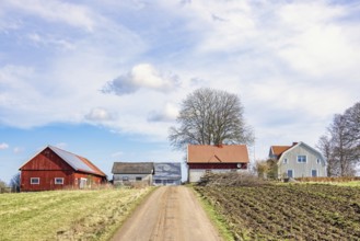 Gravel road to a farm in the Swedish countryside with barns by the fields in springtime, Sweden,