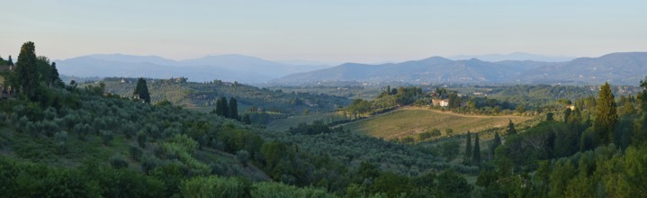 Tuscan landscape at sunrise, country estate with vineyards, forests amd olive trees in Chianti,