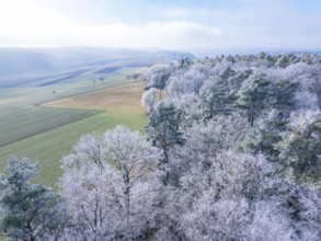 Expansive view of a snowy winter landscape with fields and trees, Gechingen, district of Calw,