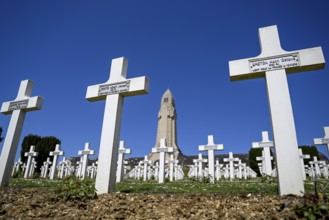 Cemetery of soldiers killed in the First World War, in the background the ossuary of Douaumont,