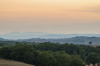 Tuscan landscape with fields and hills at sunset, Unesco world heritage, Pienza, Val d'Orcia,