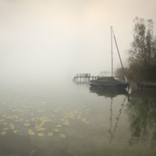 Quiet autumn morning on Lake Chiemsee, jetties and sailing boat in dense fog, water lilies in the