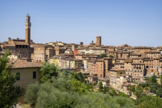 Basilica di San Clemente, historical, building, alley, Siena, Tuscany, Italy, Europe